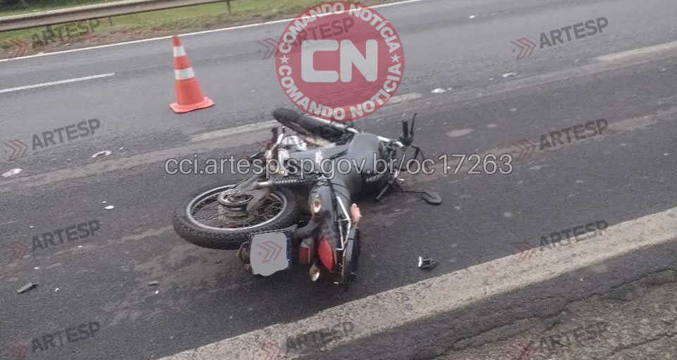 Motciclista morre ao colidir cavalo cerquilho