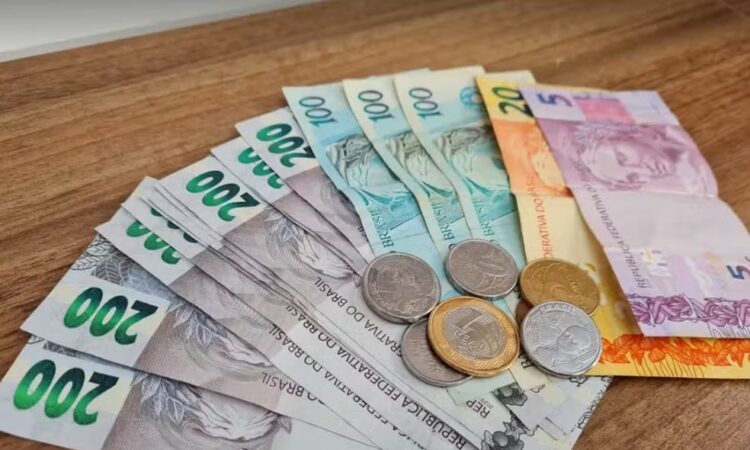 Natalia felipini g1 dinheiro