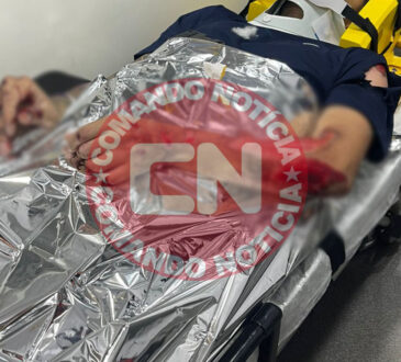 Queda mot tiger parque ecológico