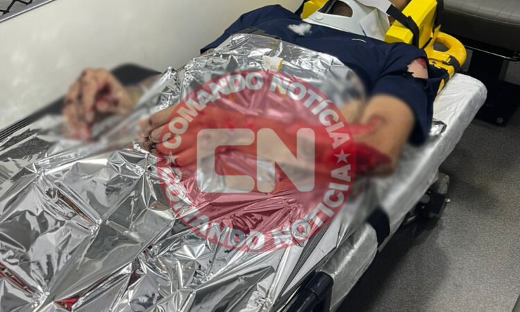 Queda mot tiger parque ecológico