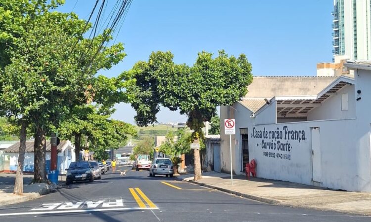 Ruas jardim remulo zoppi asfaltadas