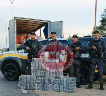 Tor 13 milhões de drogas cópia