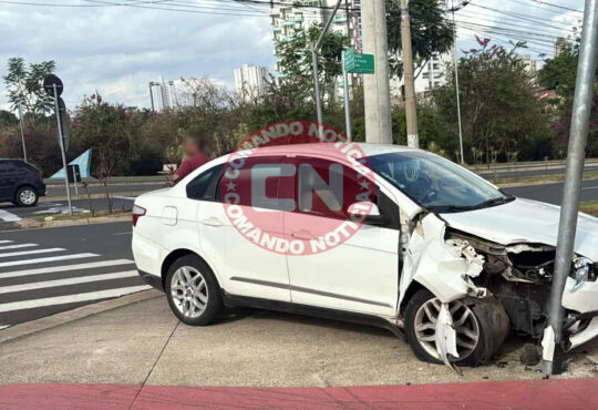 Carro bate no pq ecologico