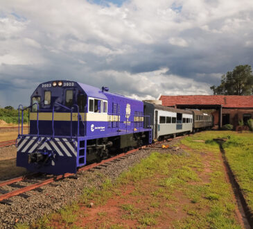 Dcim100mediadji 0049.jpg