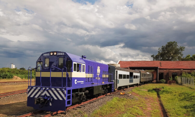 Dcim100mediadji 0049.jpg