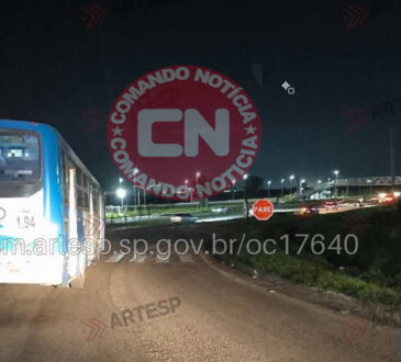 Atropelamento km 64 valeo 1 cópia