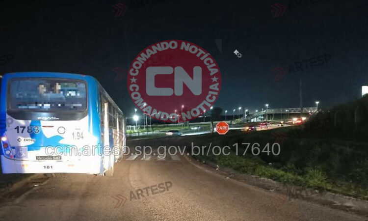 Atropelamento km 64 valeo 1 cópia