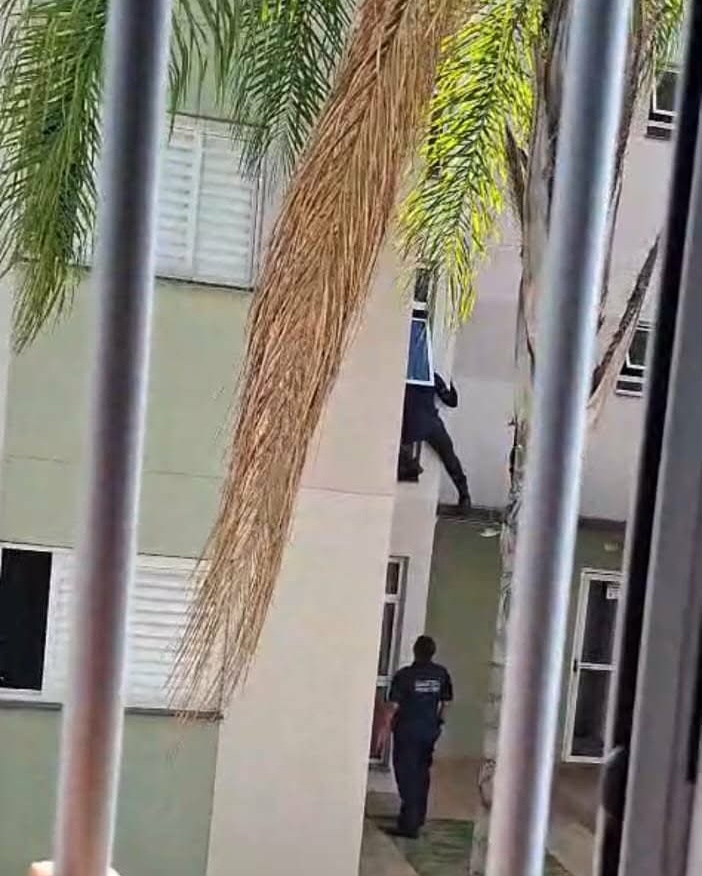 Borges escala apartamento araça