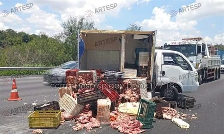 Caminhão derruba carga carnes na bandeirantes