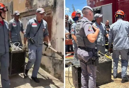 Cão mata mulher campinas helen saconi