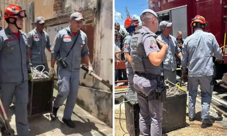 Cão mata mulher campinas helen saconi