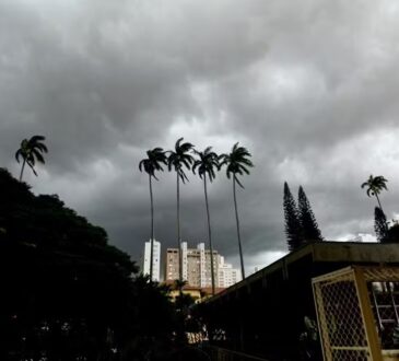 Carlos bassan prefeitura de campinas