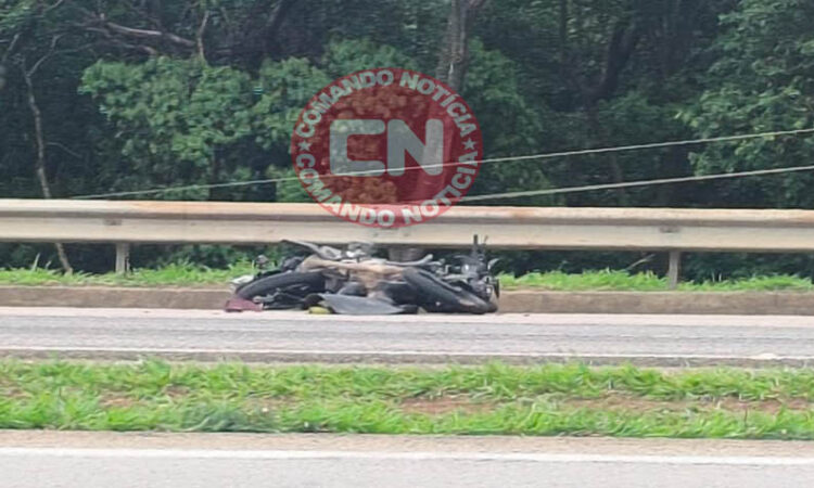 Fatal km 62 cópia
