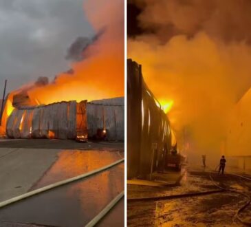 Fogo em fabrica de produtos para pet monte mor