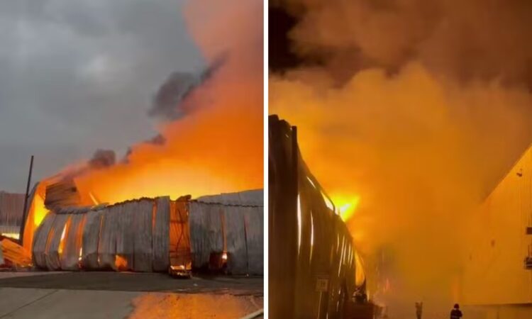 Fogo em fabrica de produtos para pet monte mor