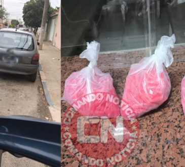 Gcm elias fausto 770 pinos