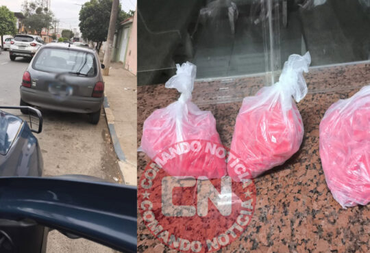 Gcm elias fausto 770 pinos