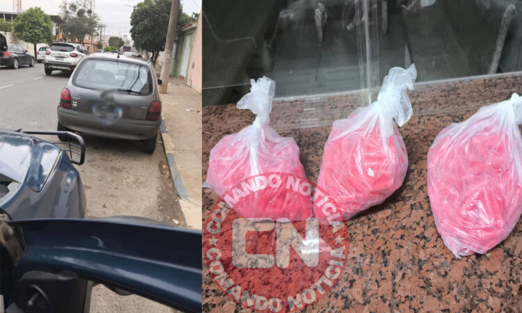 Gcm elias fausto 770 pinos