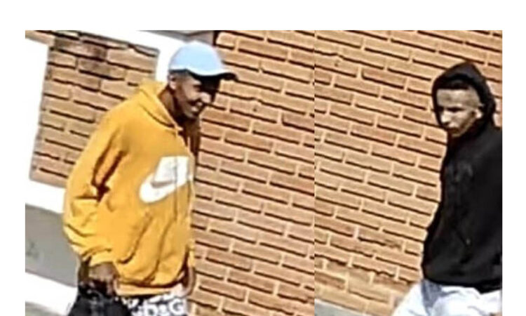 Ladroes fere morador de indaiatuba em campinas