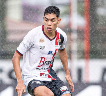 Paulo baya primavera