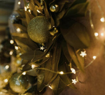 C5feda5e 5d52 4984 b217 d9b60ac1bec0