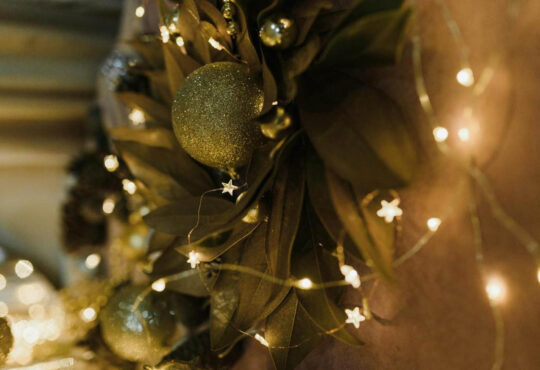 C5feda5e 5d52 4984 b217 d9b60ac1bec0