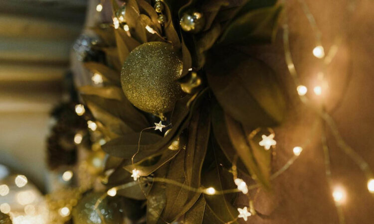 C5feda5e 5d52 4984 b217 d9b60ac1bec0