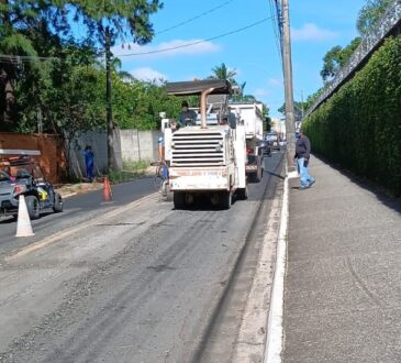 Asfalto windson parque