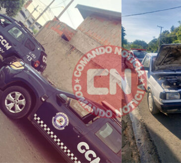 Desmanche elias fausto