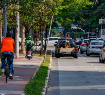 Detran sp monimotores