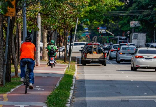 Detran sp monimotores