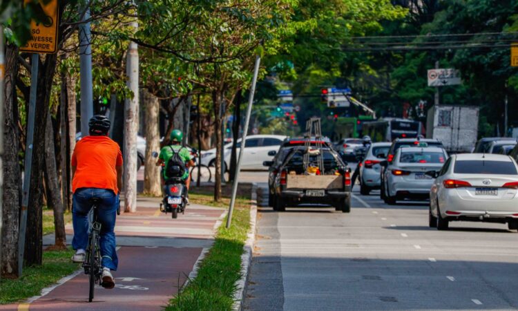 Detran sp monimotores