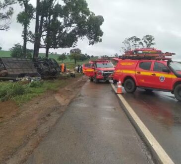 Onibus capota na br 365