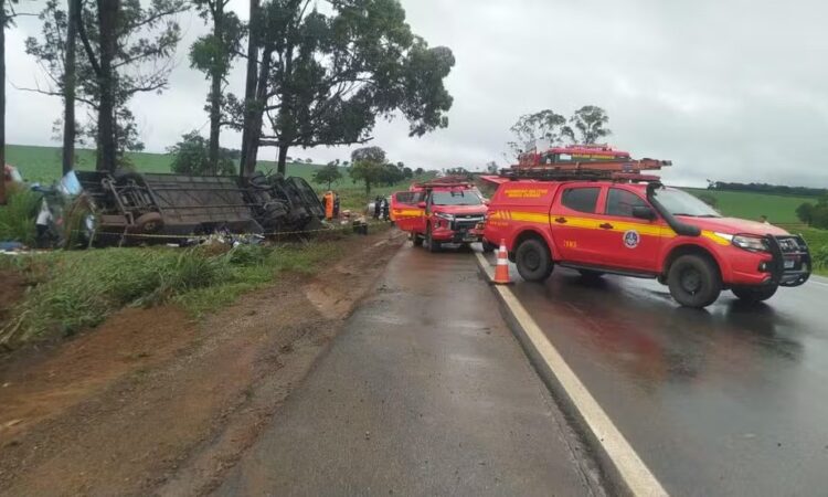 Onibus capota na br 365
