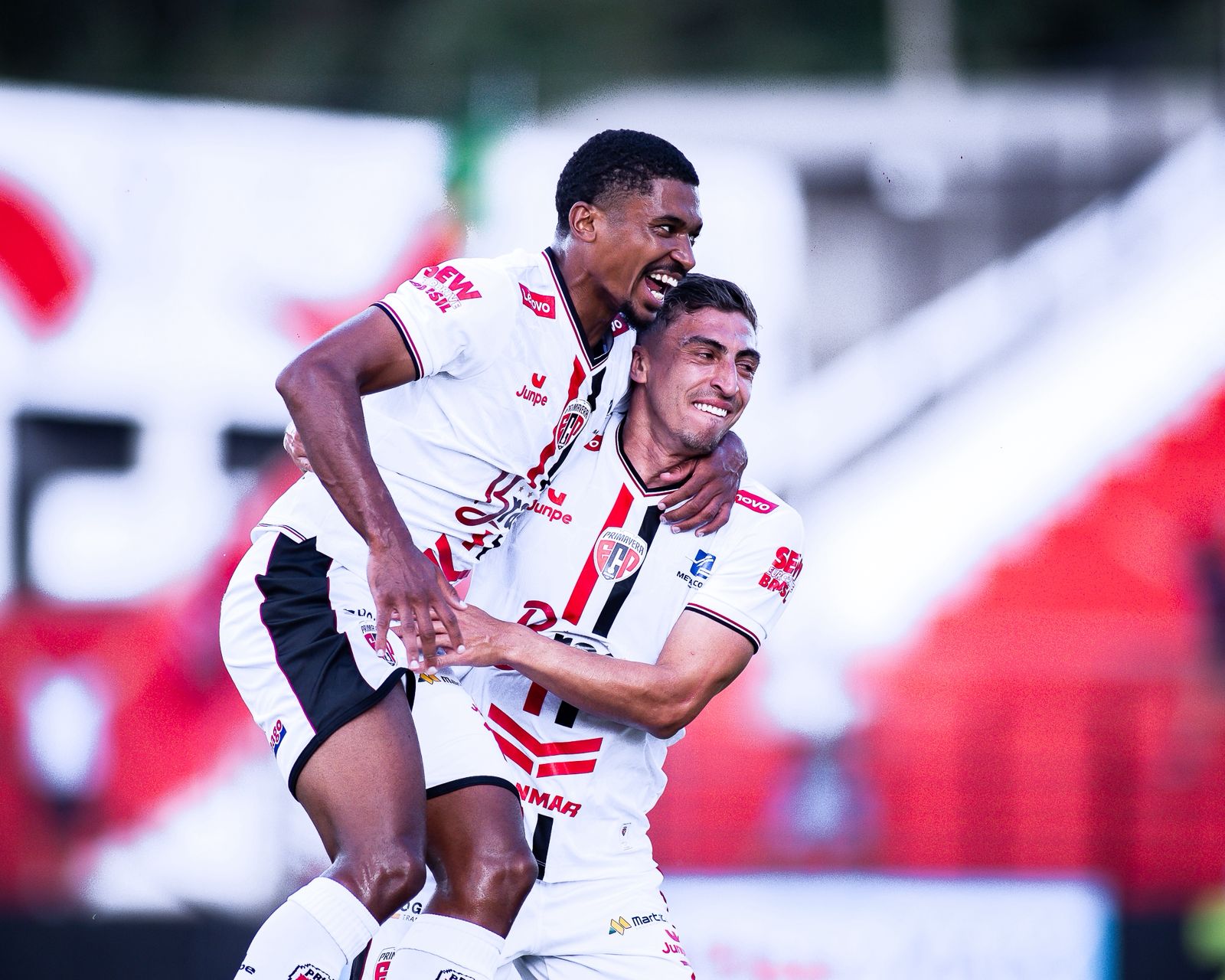 Primavera foto taina