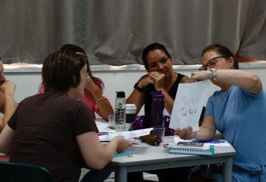 Professores assessoria corcovado