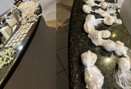 Romu prende traficante gerente e drogas santa cruz