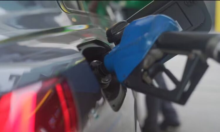 Reprodução globo combustível