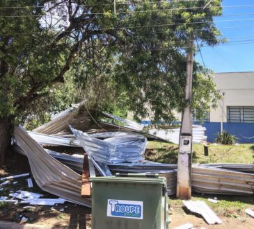 Temporal elias fausto 2026 1