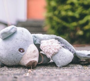 Whatsapp image 2026 01 09 at 16.21.30