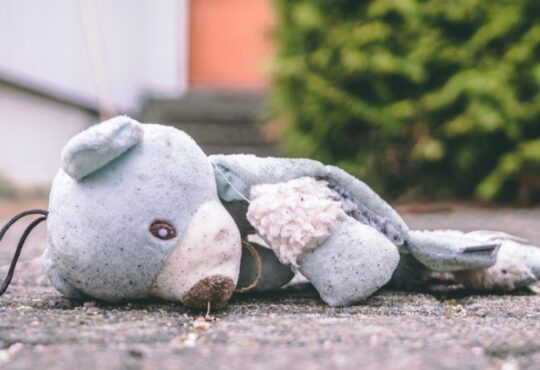 Whatsapp image 2026 01 09 at 16.21.30