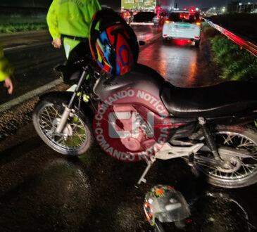 Garupa morre no km 49 eucalipto1