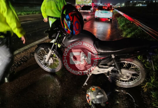 Garupa morre no km 49 eucalipto1