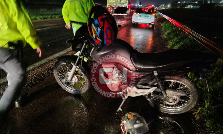 Garupa morre no km 49 eucalipto1