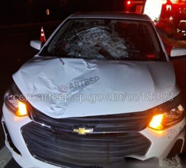 Atropelamento anhanguera