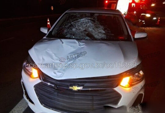 Atropelamento anhanguera