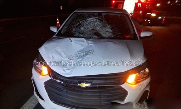 Atropelamento anhanguera