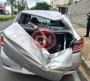 Arvore cai em cima de carro