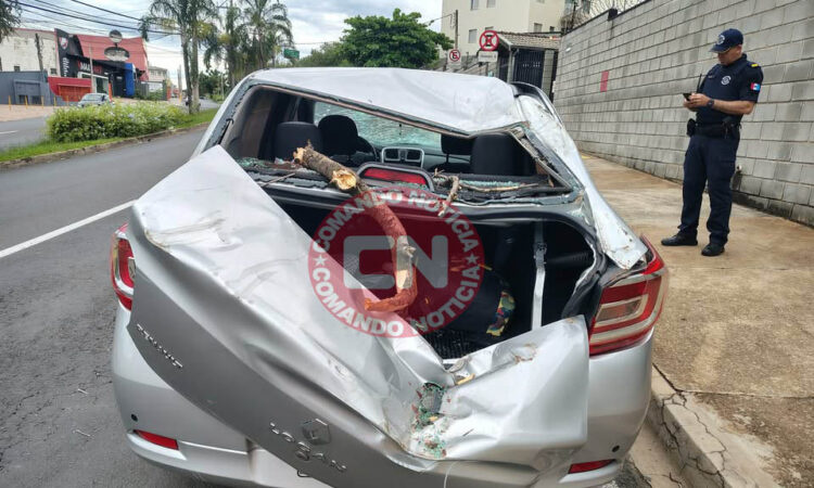Arvore cai em cima de carro