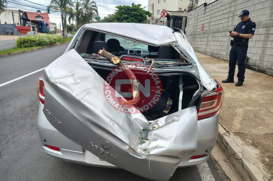 Arvore cai em cima de carro
